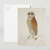 Hoe staat het nu met de baai? briefkaart (Voorkant / Achterkant)