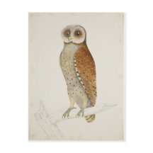 Hoe staat het nu met de baai?