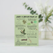 Hoe te Ivy-Planten identificeren - Hike Safe Briefkaart (Staand voorkant)