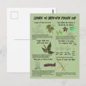 Hoe te Ivy-Planten identificeren - Hike Safe Briefkaart (Voorkant / Achterkant)