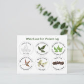 Hoe te om gifsumak te identificeren briefkaart (Staand voorkant)