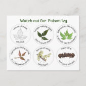 Hoe te om gifsumak te identificeren briefkaart (Voorkant)