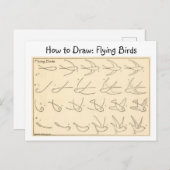 Hoe te tekenen Flying Birds  Briefkaart (Voorkant / Achterkant)