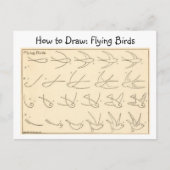 Hoe te tekenen Flying Birds  Briefkaart (Voorkant)
