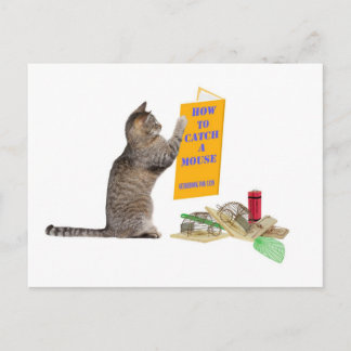 Hoe u een muis kunt vangen briefkaart