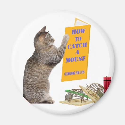 Hoe u een muis kunt vangen magneet (Voorkant)