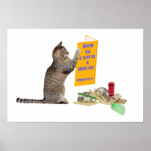 Hoe u een muis kunt vangen poster