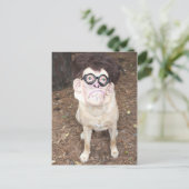 Hoe vind je mijn kostuum leuk? briefkaart (Staand voorkant)