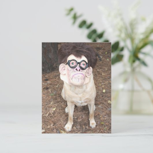 Hoe vind je mijn kostuum leuk? briefkaart (Staand voorkant)