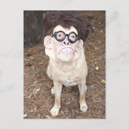 Hoe vind je mijn kostuum leuk? briefkaart (Voorkant)