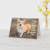 HOE VOELT CORGI 21 JAAR OUD? KAART (Gele Bloem)