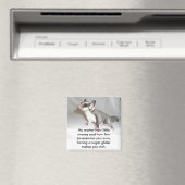 Hoe weinig geld en hoe weinig... magneet (Insitu (Vaatwasser))