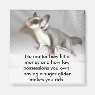 Hoe weinig geld en hoe weinig... magneet