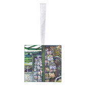 Hoe werkt één Afbeelding, zonder verbeeldingskrach Decoratie (Rechts)