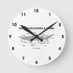 Hoe wordt een haai herkend (biologie-Humor) Ronde Klok
