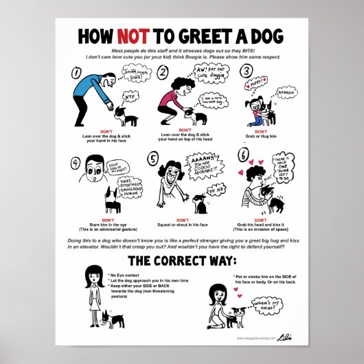 Hoe wordt een hond poster (11 x 14 inch) gemaakt - (Voorkant)