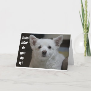 HOE ZIE JE ER ZO JONG UIT TWIN ZEGT PUP KAART