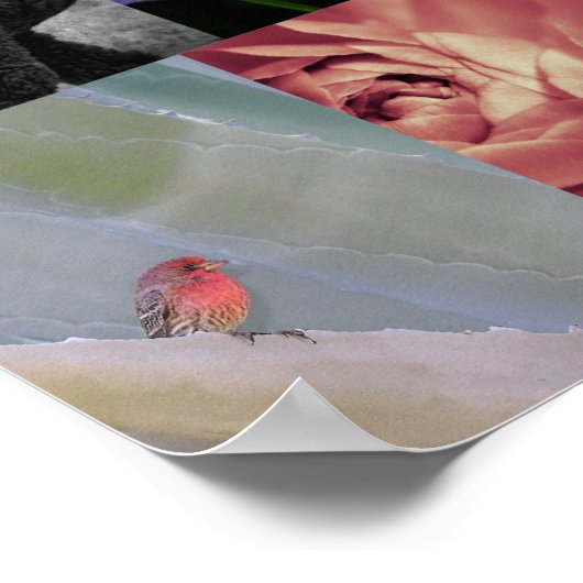 Hoe zien we het? We houden van Lee Daniels Poster (Hoek)