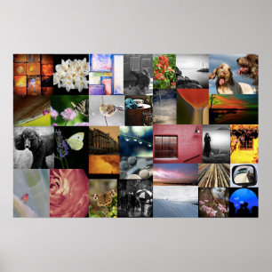 Hoe zien we het? We houden van Lee Daniels Poster