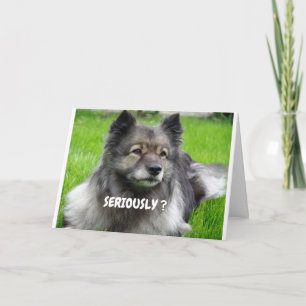 HOE ZIET JE ER ZO JONG UIT TWIN ZEGT CUTIE PUP KAART