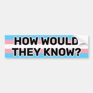 Hoe zouden ze de zwarte trans-Pride vlag Funny wet Bumpersticker