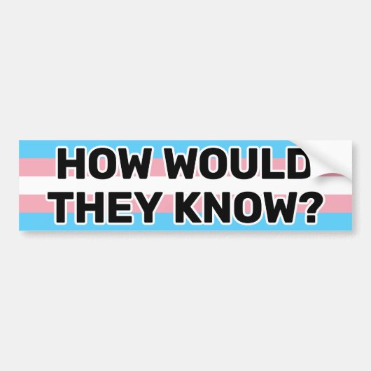 Hoe zouden ze de zwarte trans-Pride vlag Funny wet Bumpersticker (Voorkant)