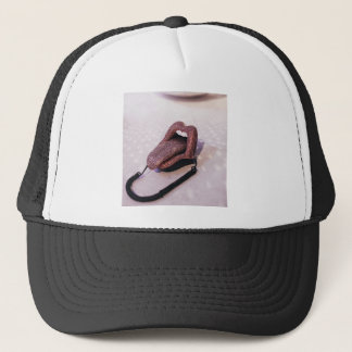 Hoed Trucker Pet
