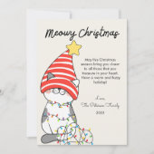 Hoedje Kat en Lichtjes Huisdier Liefhebber Kerst P Feestdagenkaart (Voorkant)