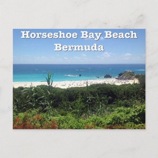 Hoefijzer Bay Beach, Bermuda Briefkaart (Voorkant)