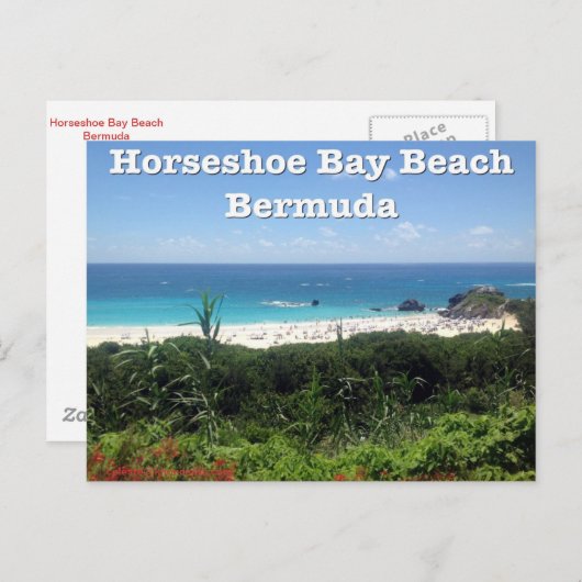 Hoefijzer Bay Beach, Bermuda Briefkaart (Voorkant / Achterkant)