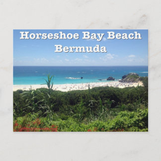 Hoefijzer Bay Beach, Bermuda Briefkaart