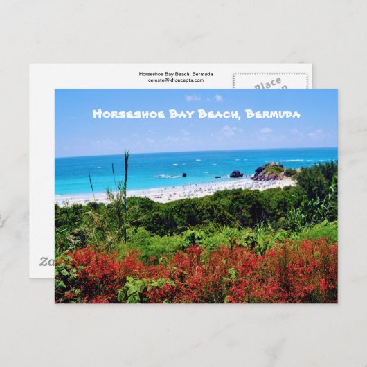 Hoefijzer Bay Beach, Bermuda Briefkaart (Voorkant / Achterkant)