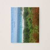 Hoefijzer Bay Beach, Bermuda Legpuzzel (Verticaal)