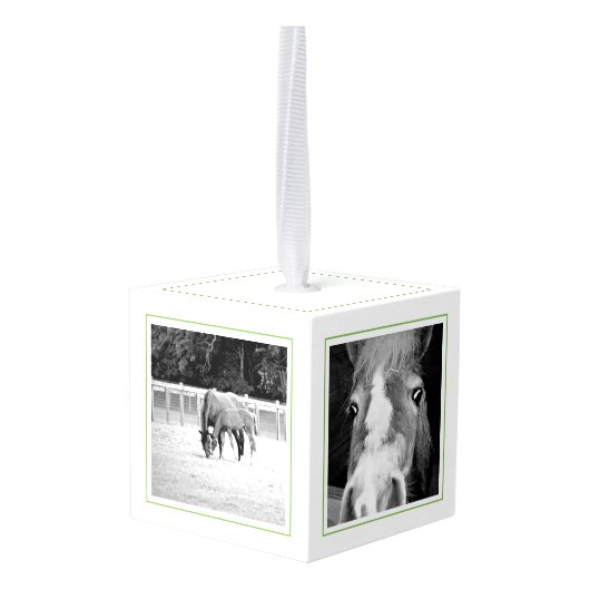 Hoefijzer Bloemen NAAM Paard FOTO'S Keepsake Decoratie (Achter hoekig)