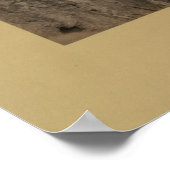 Hoefijzer Canyon, Green River, 1872 Poster (Hoek)