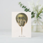 Hoefijzer Crab, Arthropod, James Ellsworth de Kay, Briefkaart (Staand voorkant)