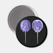 Hoefijzer Crab Magneet (Voorkant / Achterkant)