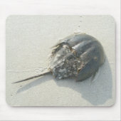 Hoefijzer Crab Mousepad Muismat (Voorkant)