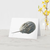 Hoefijzer Crab Note Kaart (Gele Bloem)