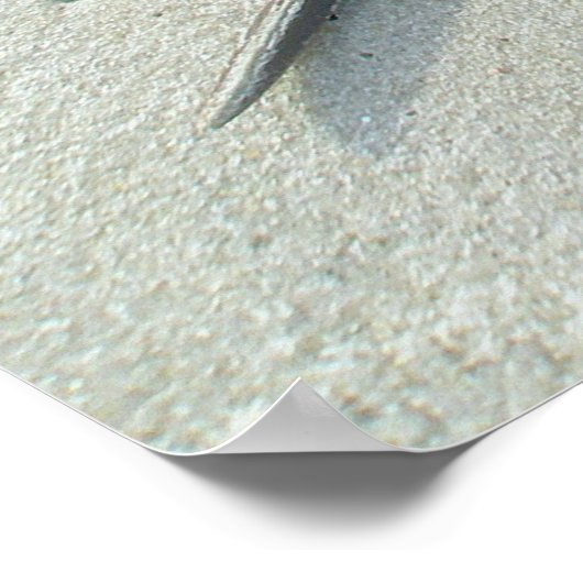 Hoefijzer Crab Poster (Hoek)