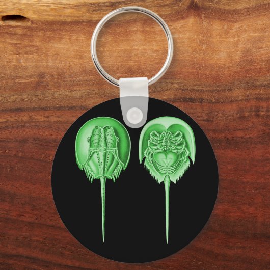 Hoefijzer Crab Sleutelhanger (Voorkant)