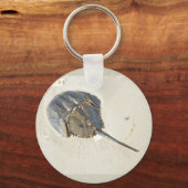 Hoefijzer Crab Sleutelhanger (Voorkant)