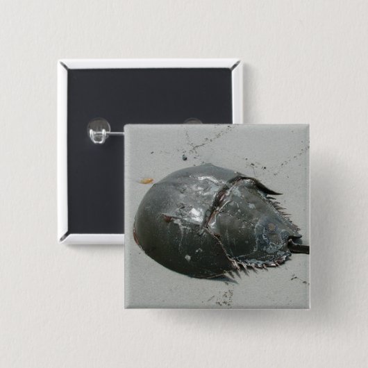 Hoefijzer Crab Vierkante Button 5,1 Cm (Voorkant /achterkant)