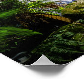 Hoefijzer Herfsten Australië poster (Hoek)