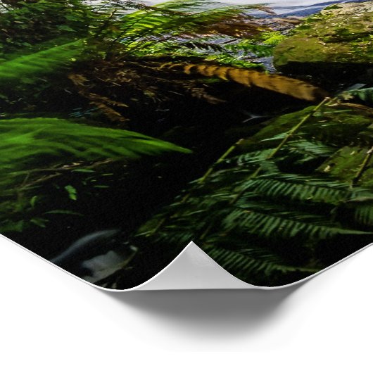 Hoefijzer Herfsten Australië poster (Hoek)