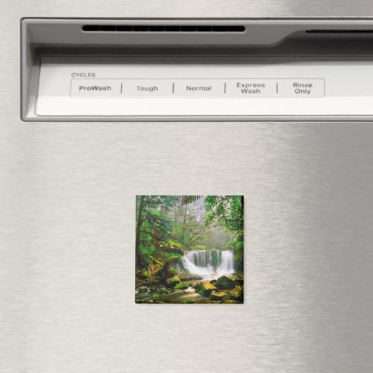 Hoefijzer Herfsten Omringd door regenwoud Magneet (Insitu (Vaatwasser))