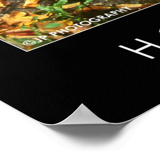 Hoefijzer Herfsten Poster (Hoek)