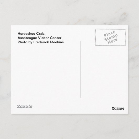 Hoefijzer krab, #1 briefkaart (Achterkant)