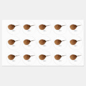 Hoefijzer krab cartoon illustratie labels (Vel)