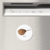 Hoefijzer krab cartoon illustratie magneet (Insitu (Vaatwasser))